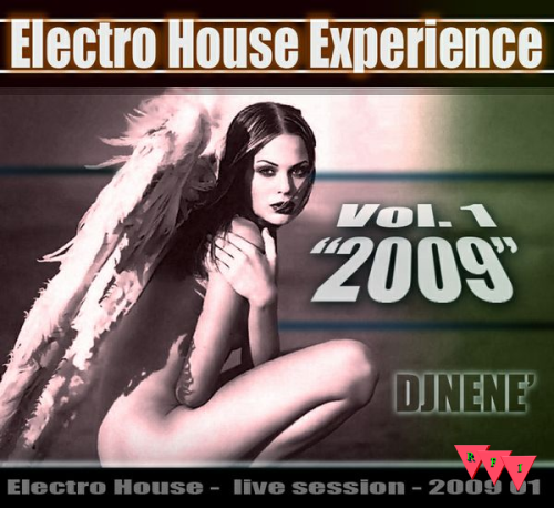 Current Cover: DJ NENE' - Electro House Experience - Vol 1 - 2009 - DJ NENE'