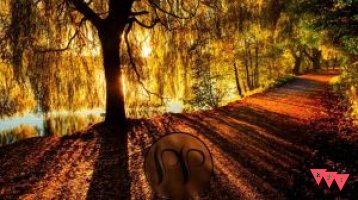 Current Cover: Silence Groove - Wrong Way Again (Original Mix)